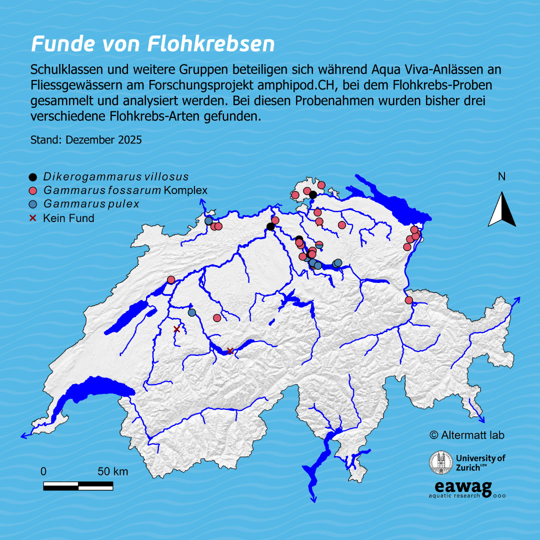 Karte der Schweiz mit Fundorten von Bachflohkrebsen