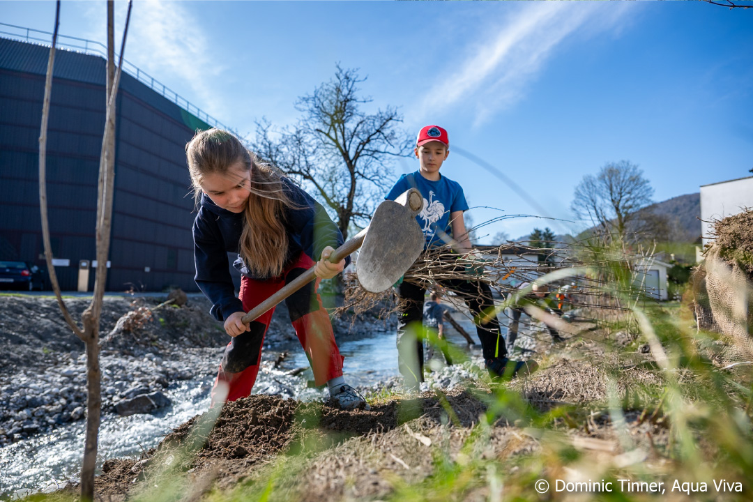 Kinder pflanzen Sträucher am revitalisierten Bach