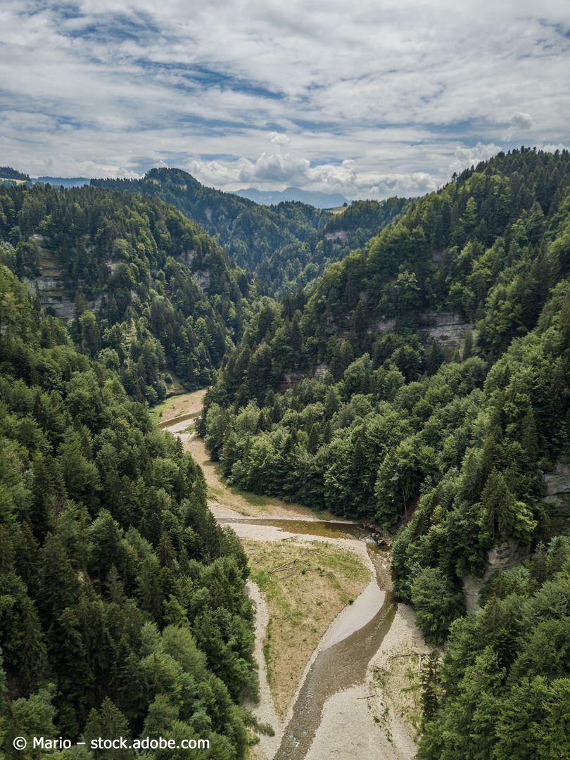 Luftaufnahme der Sense, die durch ein steiles Tal mit Bäumen an den Hängen fliesst.