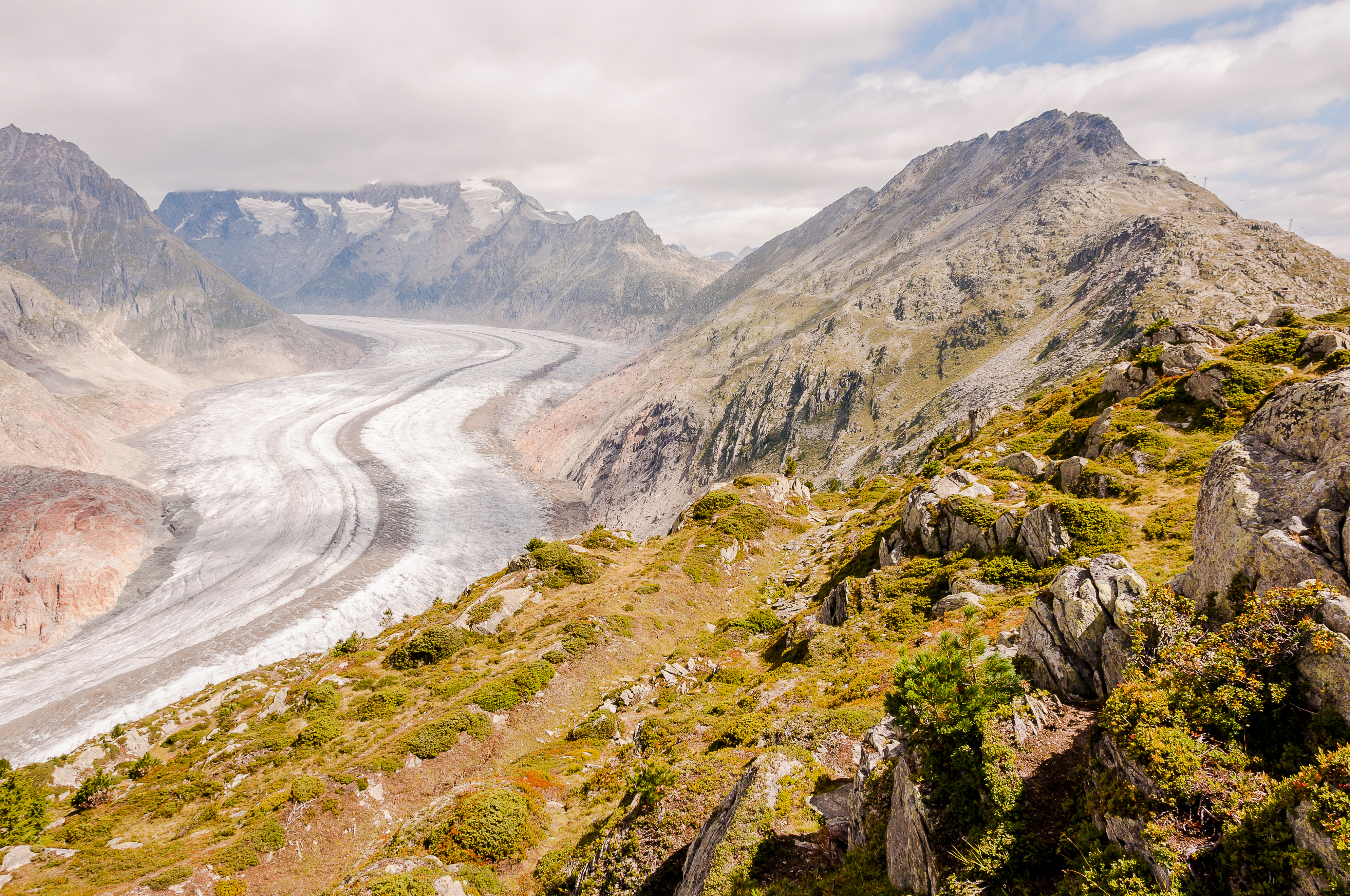Das Bild zeigt die Moosfluh, einen Seitenhang des Aletschgletschers sowie den Aletschgletscher selbst