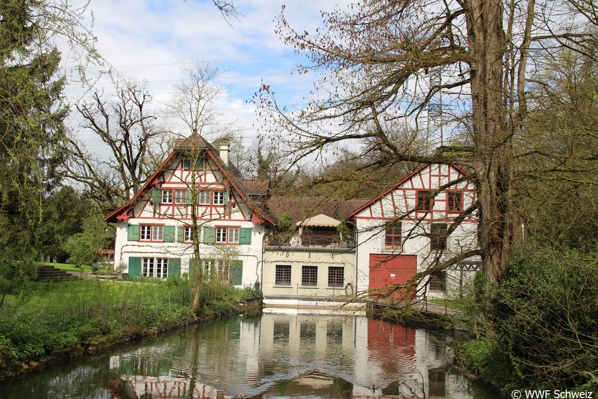 Fachwerkhäuser im Hintergrund, aufgestauter Fluss im Vordergrund.