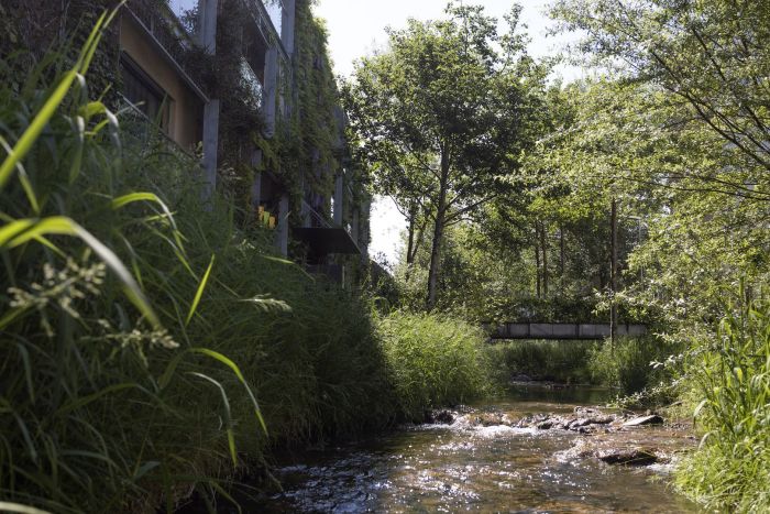 Ein naturnaher Bach mit Gebäude und Pflanzen an Ufer, Perspektive aus dem Bachlauf.
